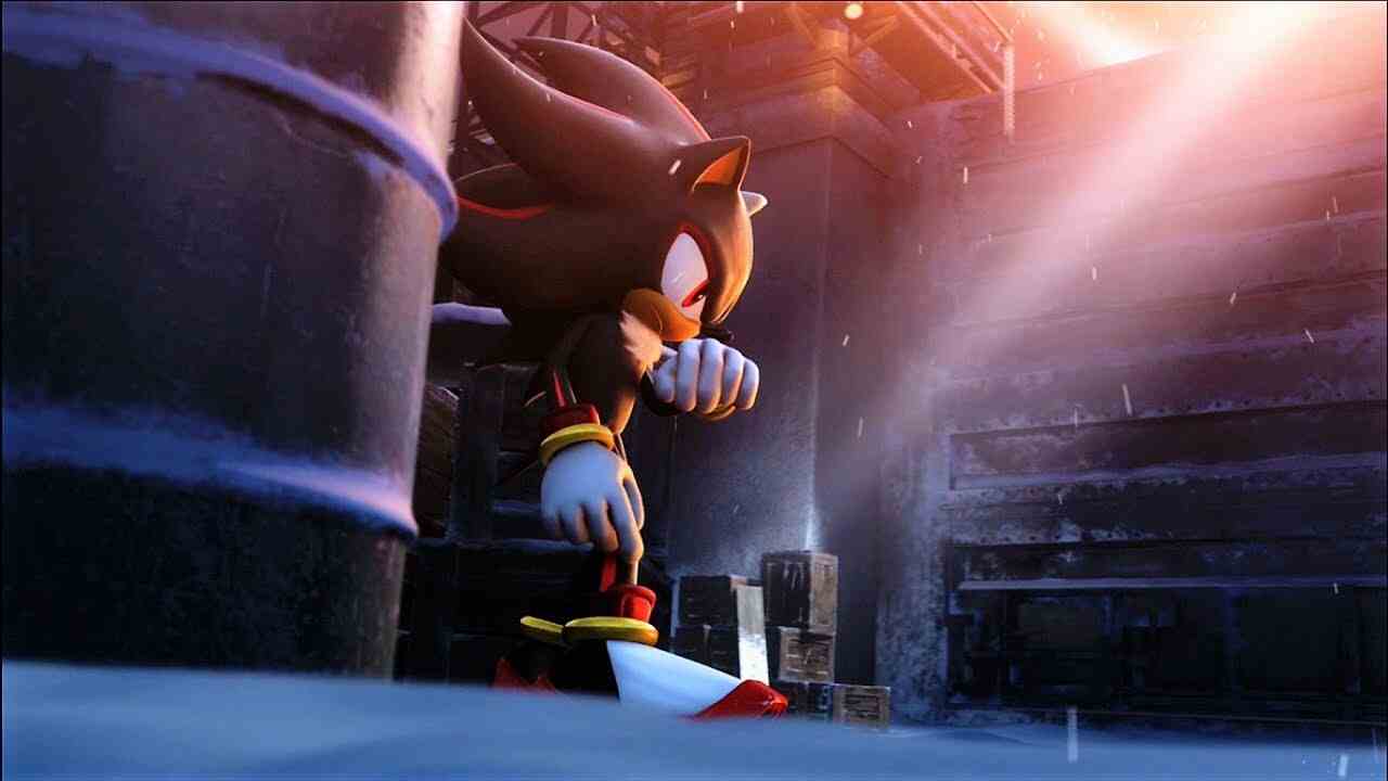 Shadow the Hedgehog'un sinirli görünümü ve silahlara olan tutkusu, onu Sonic topluluğunda bir şekilde mem yaptı, ancak o kendi başına sevilen bir karakter.