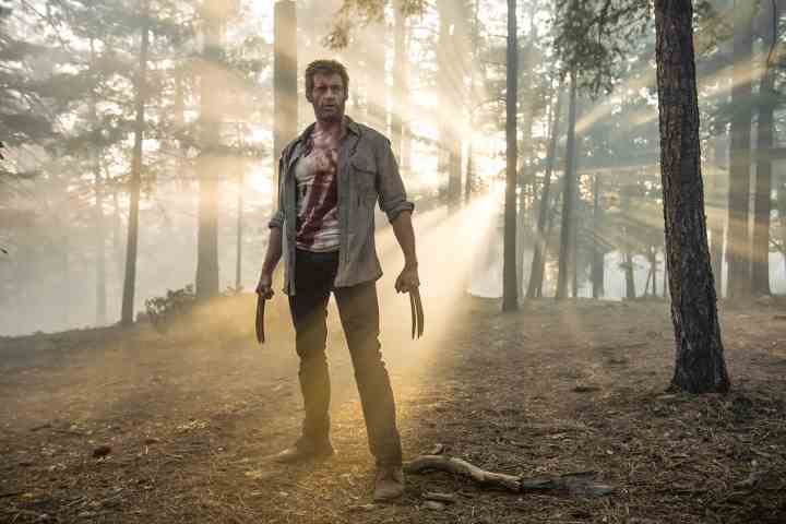 Wolverine, Logan'da bir ormanda duruyor.