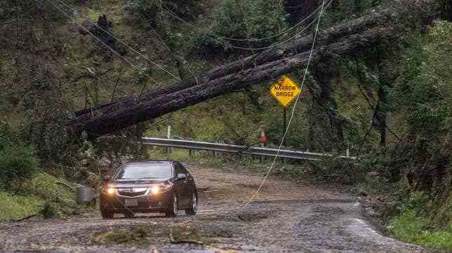 21 Mart 2023 Salı, Kaliforniya, Boulder Creek'teki son atmosferik fırtına olayı sırasında bir araç Big Basin Way boyunca devrilmiş ağaçların yanından geçiyor.