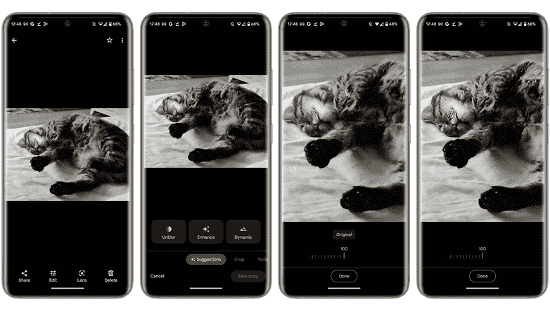 Bir kedinin fotoğrafı, Android 13'teki fotoğraflardaki hareket bulanıklığını gideren işlevi açıklamak için kullanılır.