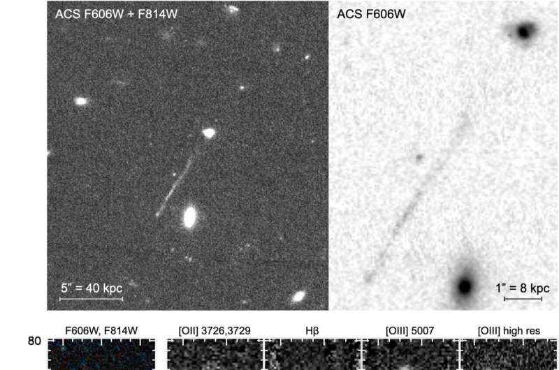 Genç Yıldızların Garip Bir Çizgisi, Kaçak Bir Süper Kütleli Kara Deliğin Kanıtı, Çalışma Bulguları