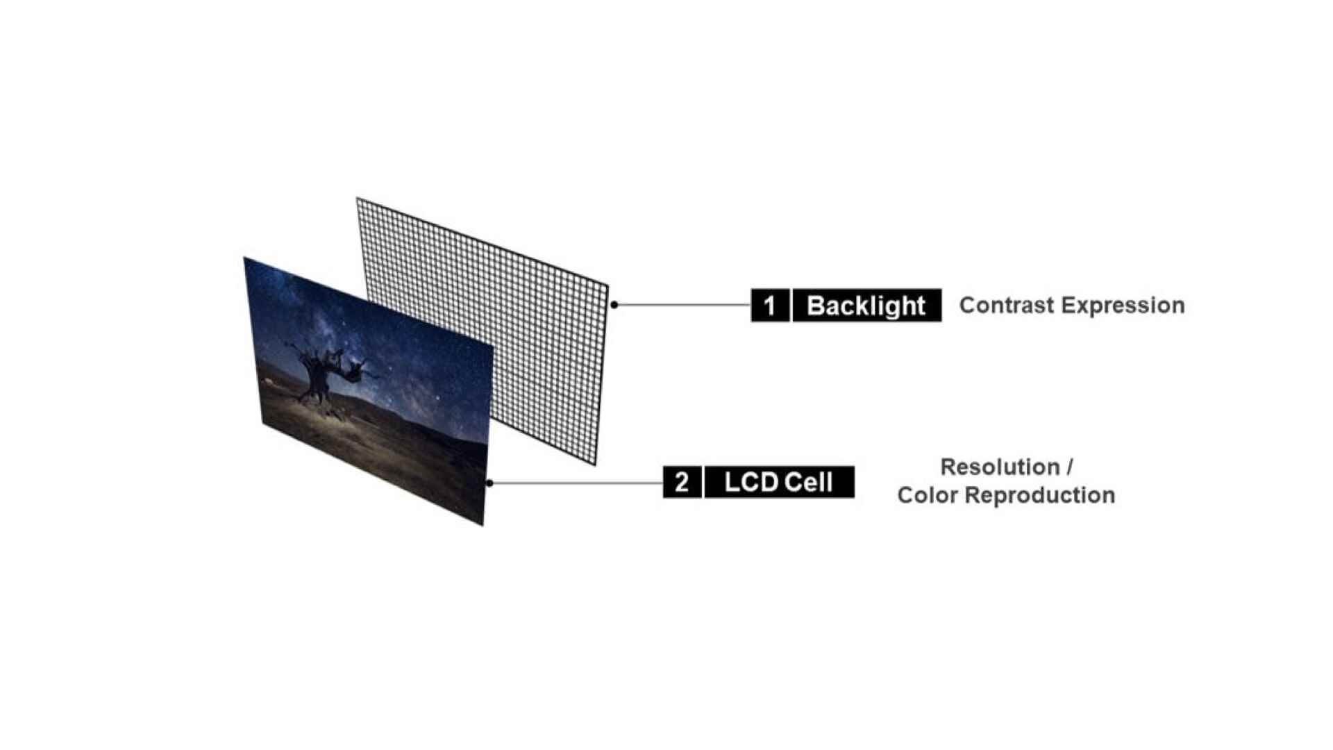 LCD Ekran Yapısı, Görüntü Kredisi - LG Ekran - Apple'ın OLED geleceği: asla olmamış ve olmayacak mini LED iPhone