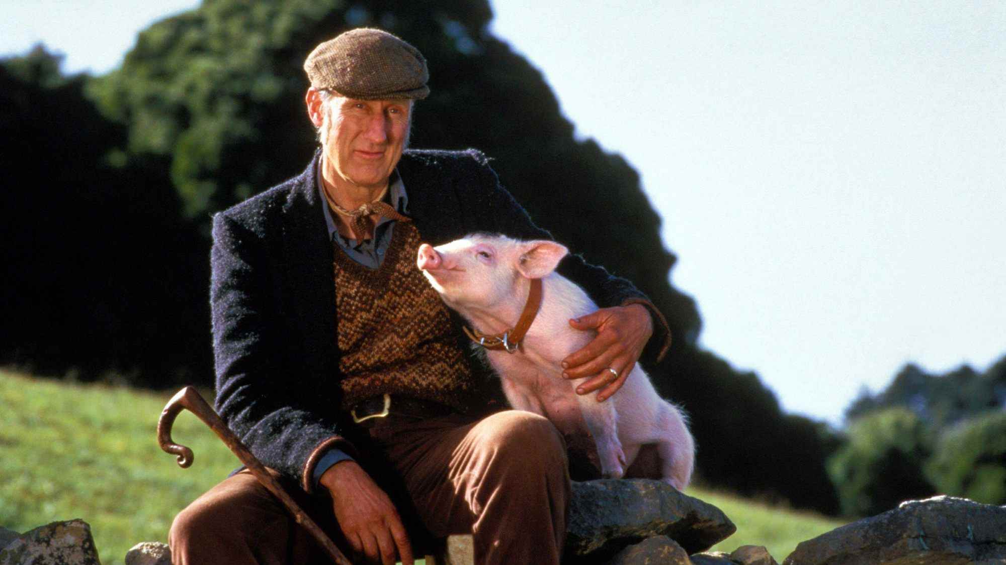 James Cromwell domuz Babe ile oturuyor