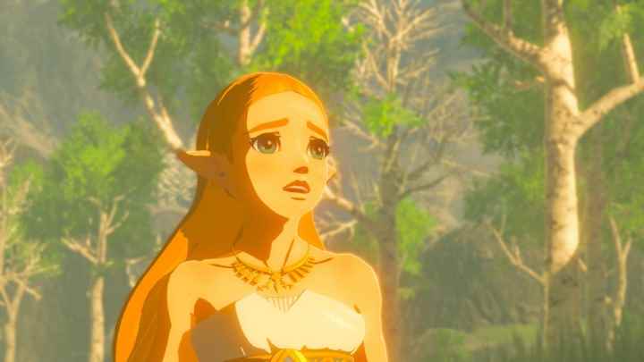 The Legend of Zelda Breath of the Wild incelemesi