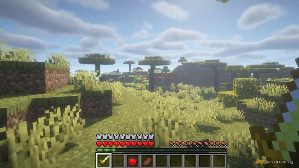 Köyü Bulmak İçin Minecraft'ı Keşfedin