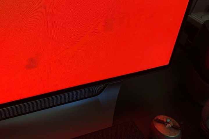 Bir OLED TV'de ekran yanması örneği.