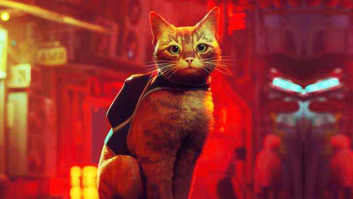 Stray'deki ana kedi, arkasında siberpunk binalarla ön plana bakıyor