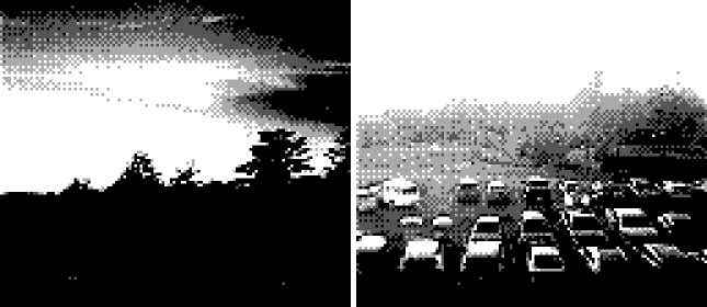 Game Boy Mini Kamera ile çekilmiş iki fotoğraf örneği.