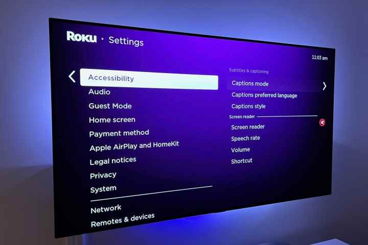 Bir TV ekranında Roku Erişilebilirlik ayarları.