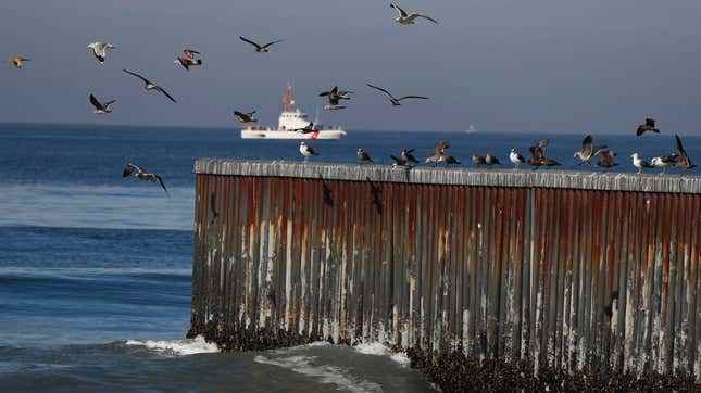 Meksika, Tijuana'da, sınırın Pasifik Okyanusu ile birleştiği yerde, Meksika ile ABD'yi ayıran bariyerlere tüneyen kuşlar, 17 Kasım 2018.