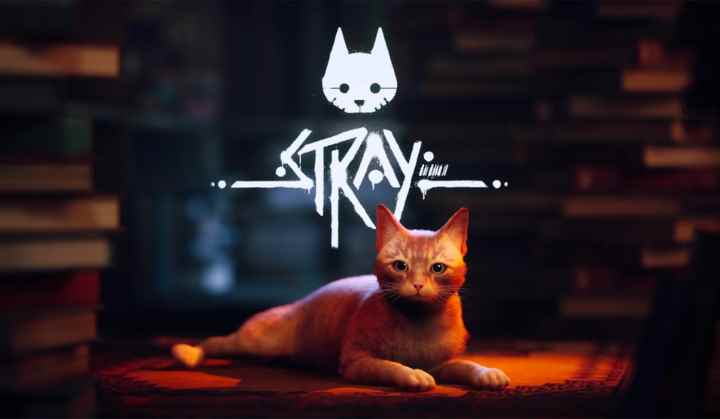 Kedi hayatta kalma oyunu 'Stray' Mac'e geliyor