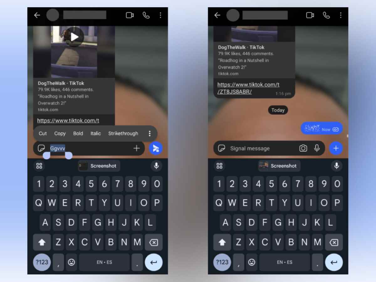 Android Police sayesinde bazı örnek ekran görüntüleri.  - Signal'in en son beta sürümü, manifatura oyununu hızlandırır ve sohbette kendinizi daha iyi ifade etmenizi sağlar