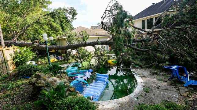 22 Haziran 2023 Perşembe, Teksas, Spring'de Grace Hatfield'ın evinin arka bahçesinde devrilen bir ağaç, bölgede bir gecede patlayan, elektriği kesip ağaçları deviren bir fırtınanın ardından duruyor.