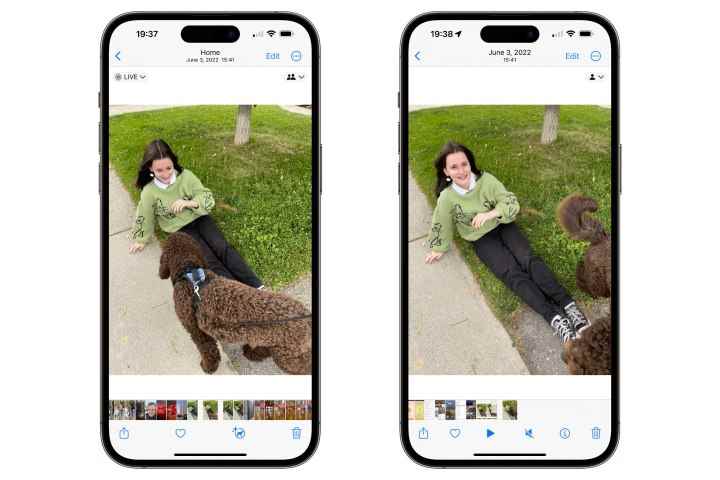 Videoya dönüştürülmüş Canlı Fotoğraf ve Canlı Fotoğraf özellikli Fotoğraflar uygulamasını gösteren iki iPhone.