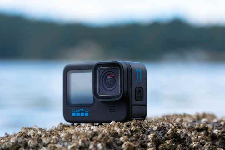 GoPro Hero 11 Black, kaya midyeleriyle birlikte bir kayanın üzerinde.