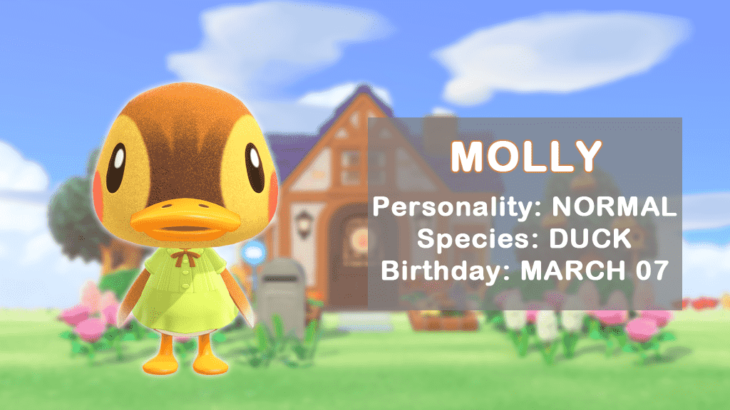 Animal Crossing'deki popüler ördek köylüsü Molly'nin profili.