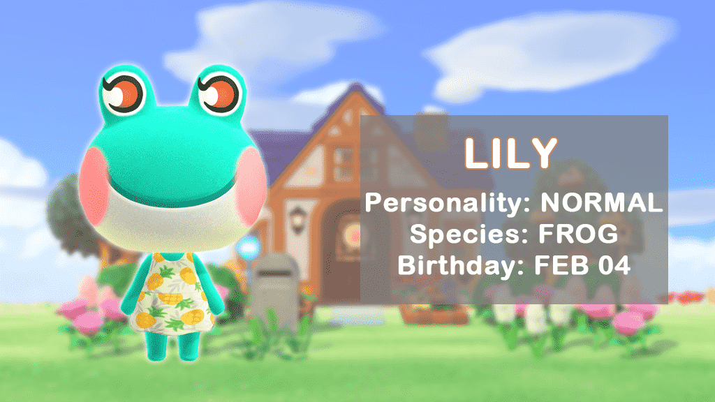 Popüler bir kurbağa köylüsü olan Lily'nin profili.