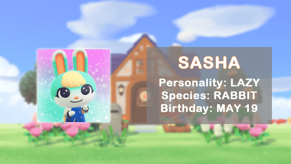 Yeni bir tavşan köylüsü olan Sasha'nın profili.