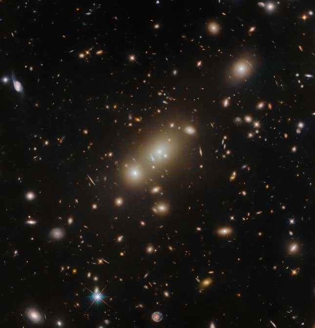 Tam Hubble görüntüsü.  Yerçekimi merceğindeki bozulmaları tespit edebilir misiniz?